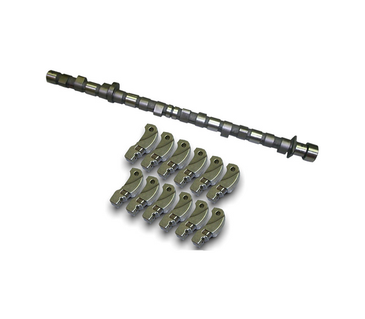 Camshaft set M21